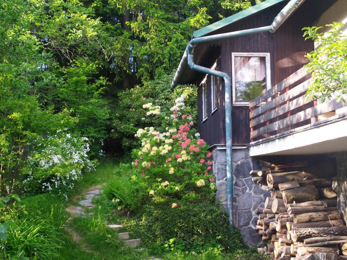 Na Poskle U Lesa S Vyhledem Holiday home