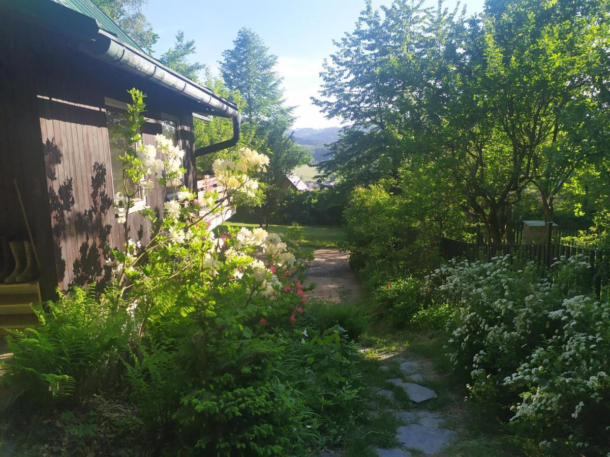 Na Poskle U Lesa S Vyhledem * Hutisko