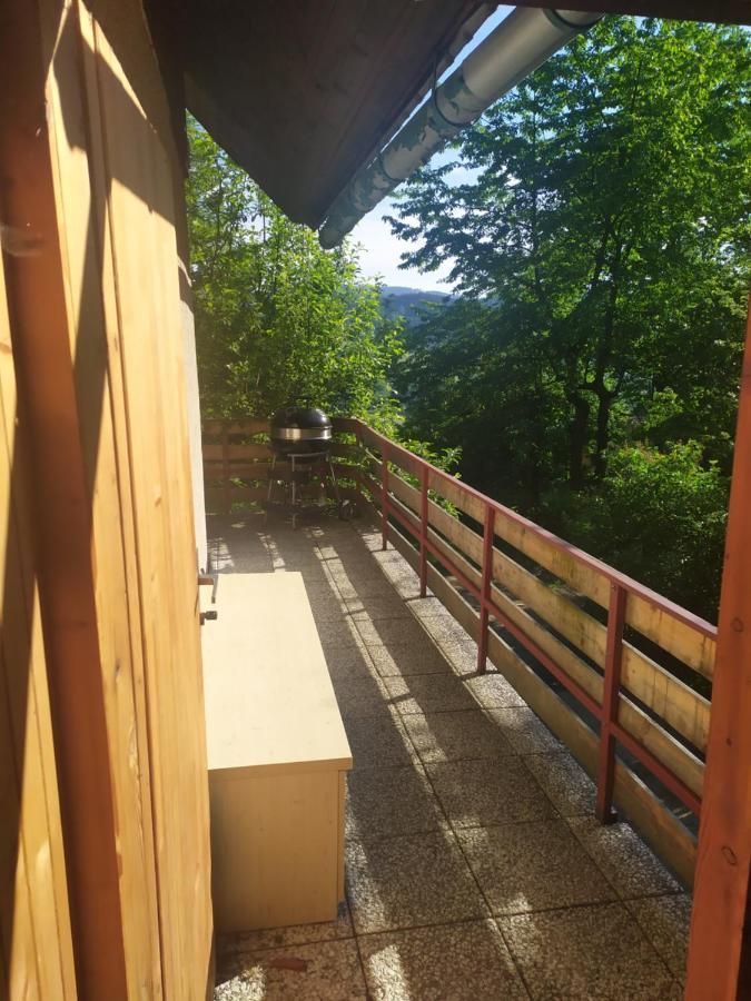 Na Poskle U Lesa S Vyhledem * Hutisko