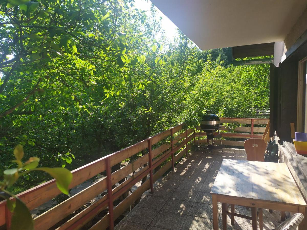 Na Poskle U Lesa S Vyhledem Holiday home Hutisko